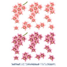 Blomster - Orkider