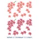 Blomster - Orkider