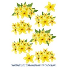 Blomster - Gule