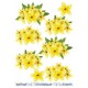Blomster - Gule