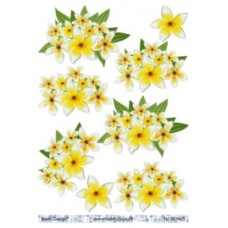 Blomster - Gule