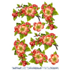 Blomster - Røde blomster
