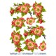 Blomster - Røde blomster