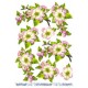 Blomster 