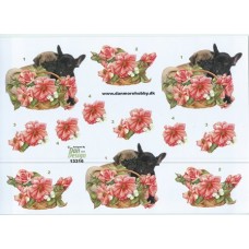Blomster - Blomster med hunde i kurv