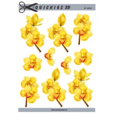 Quickies 3D - Gul Orkide