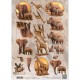 Amy design - Wild Animals -  Elefant - Næsehorn - Giraf