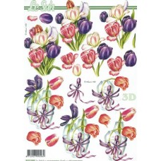 Blomster - Tulipaner