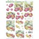 Blomster - Rose med landskab