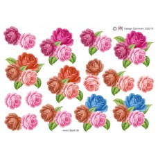 Blomster - Roser i forskellige farver