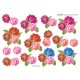 Blomster - Roser i forskellige farver