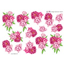 Blomster - Lyserøde roser