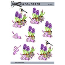 Quickies 3d - Hyacinter