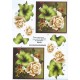 Blomster - Rose i ramme