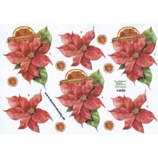 Blomster - Julestjerne