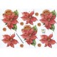 Blomster - Julestjerne