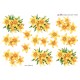 Blomster 