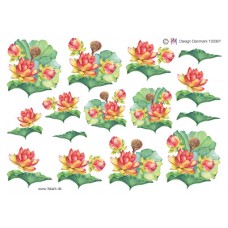 Blomster - Blomst på blad