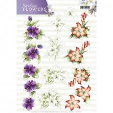Blomster - Timeless Flowers