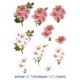 Blomster  - Hvide - Rosa farver