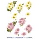 Blomster 