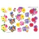 Blomster  - Blomster til små kort