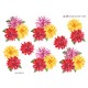 Blomster 