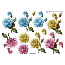 Blomster - Roser i forskellige farver