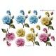 Blomster - Roser i forskellige farver