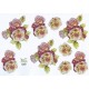 Blomster - Roser
