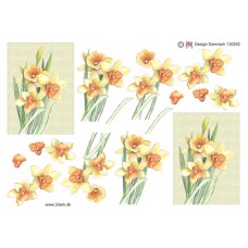 Blomster - Påskeliljer