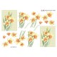 Blomster - Påskeliljer