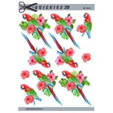 Quickies 3d - Papegøje