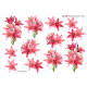 Blomster 