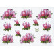 Blomster 