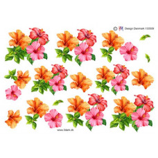 Blomster - Skønne Petuniablomster