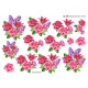 Blomster -Roser - Liljer