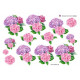 Blomster - Hortensia