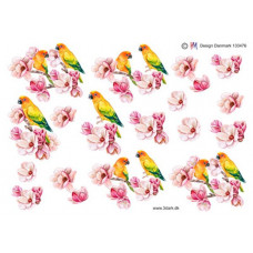 Blomster - Blomst med fugl