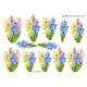 Blomster - Hyacinter