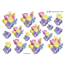 Blomster - Forårsblomster