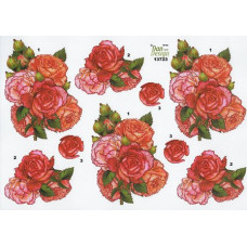 Blomster - Blomster i røde farver