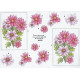 Blomster - Blomster i ramme