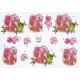 Blomster - Blomst med frugt