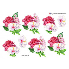 Blomster - Blomster i rosafarver