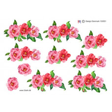 Blomster - Blomster på række i rosa farver