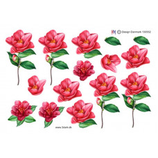 Blomster - Enkelt blomst på stilk  i rosa farve