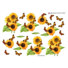 Blomster - Solsikke og sommerfugl