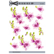 Quickies 3d - Orkide blomster