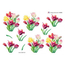 Blomster - Tulipanbuket